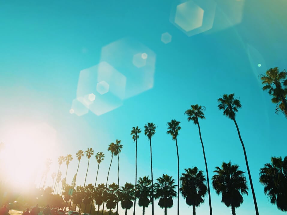 sunshine san diego mental health rehab dual diagnosis palm trees sunny rehabilitation